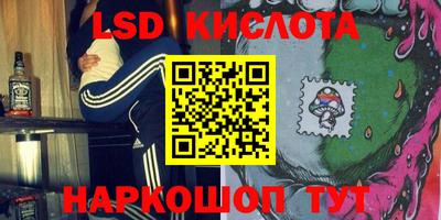 стафф Партизанск