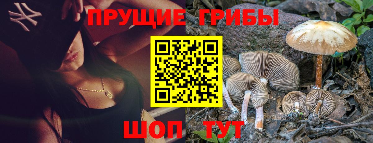 Псилоцибиновые грибы мухоморы  Вход с VPN  Артёмовский 